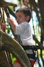 Boy - Tree Climbing