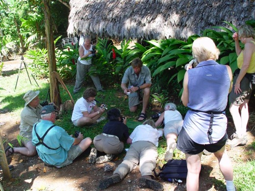 Photo Workshop at Bosque del Cabo