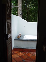 Looking out to Outside shower